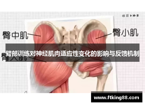 臂部训练对神经肌肉适应性变化的影响与反馈机制