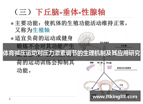 体育减压运动对压力激素调节的生理机制及其应用研究